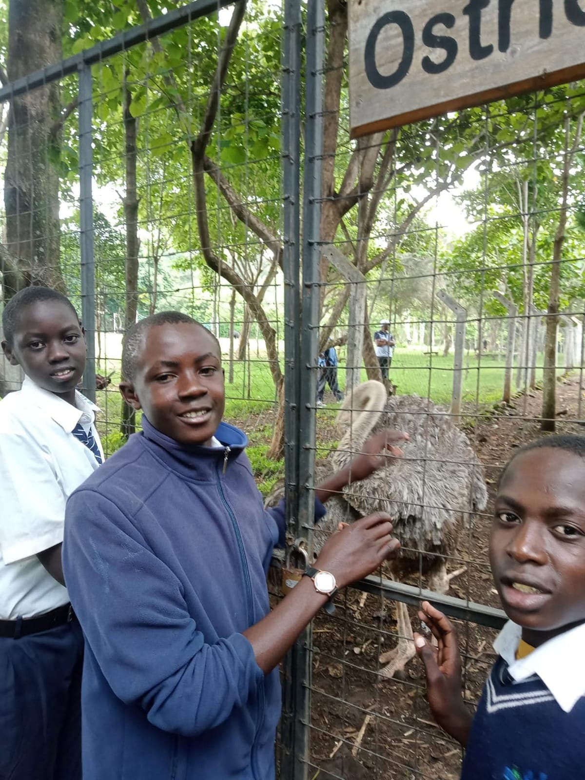 Student participation and engagement