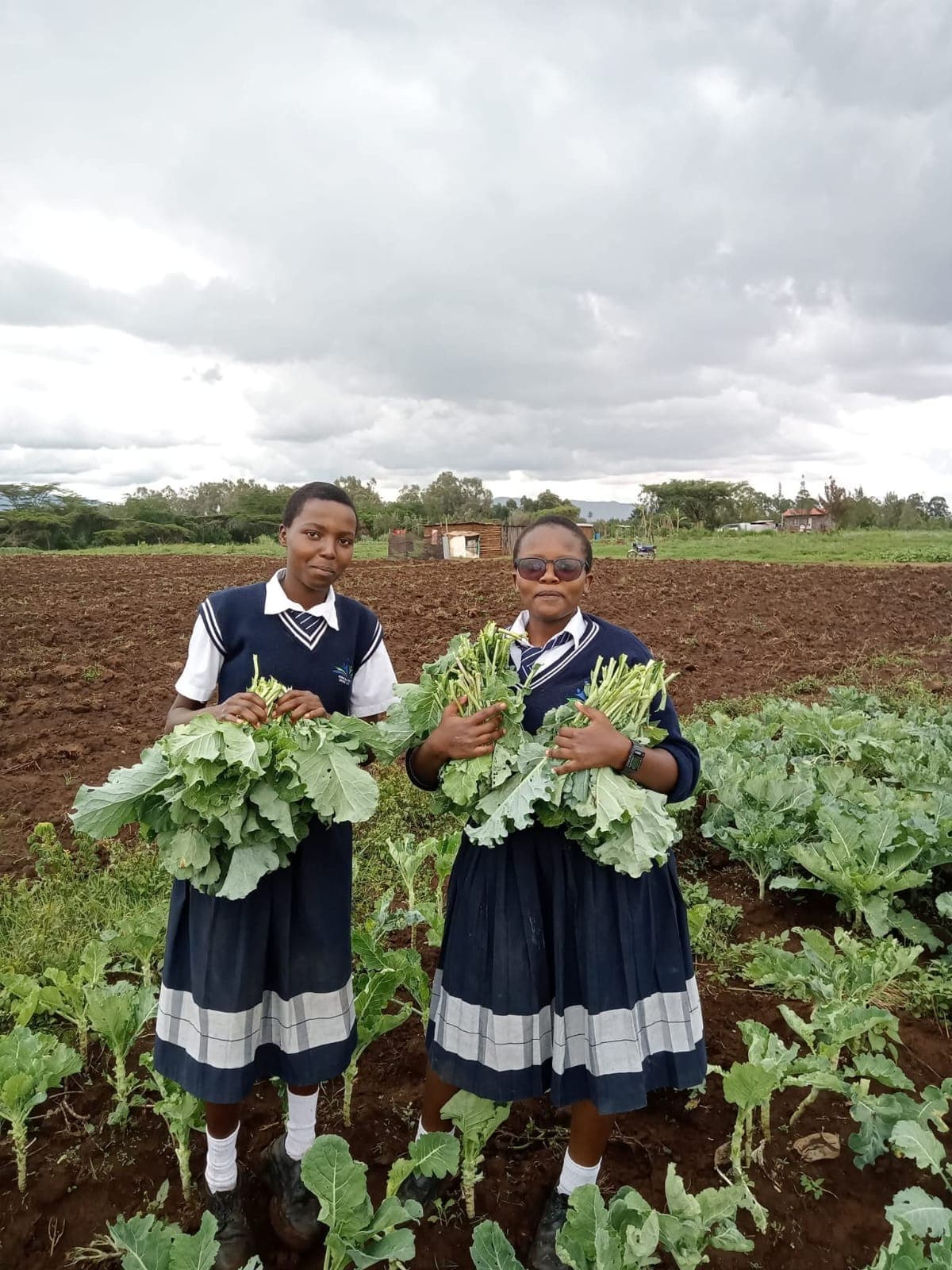 Student participation and engagement