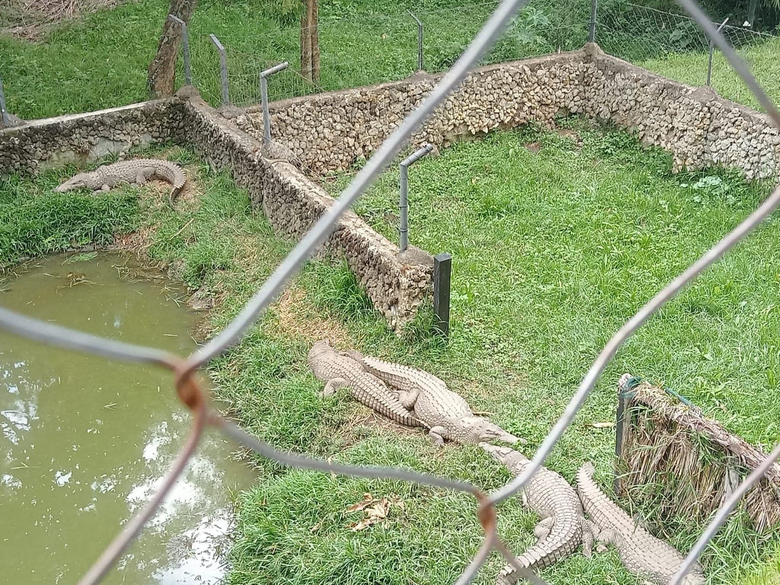 Student participation and engagement