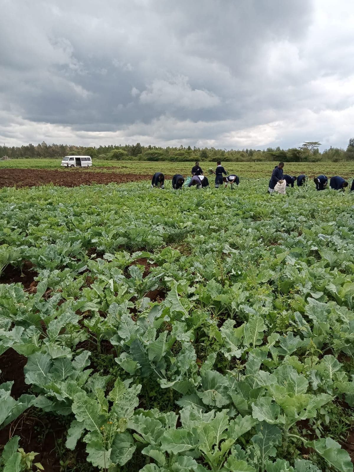 Sports and athletics