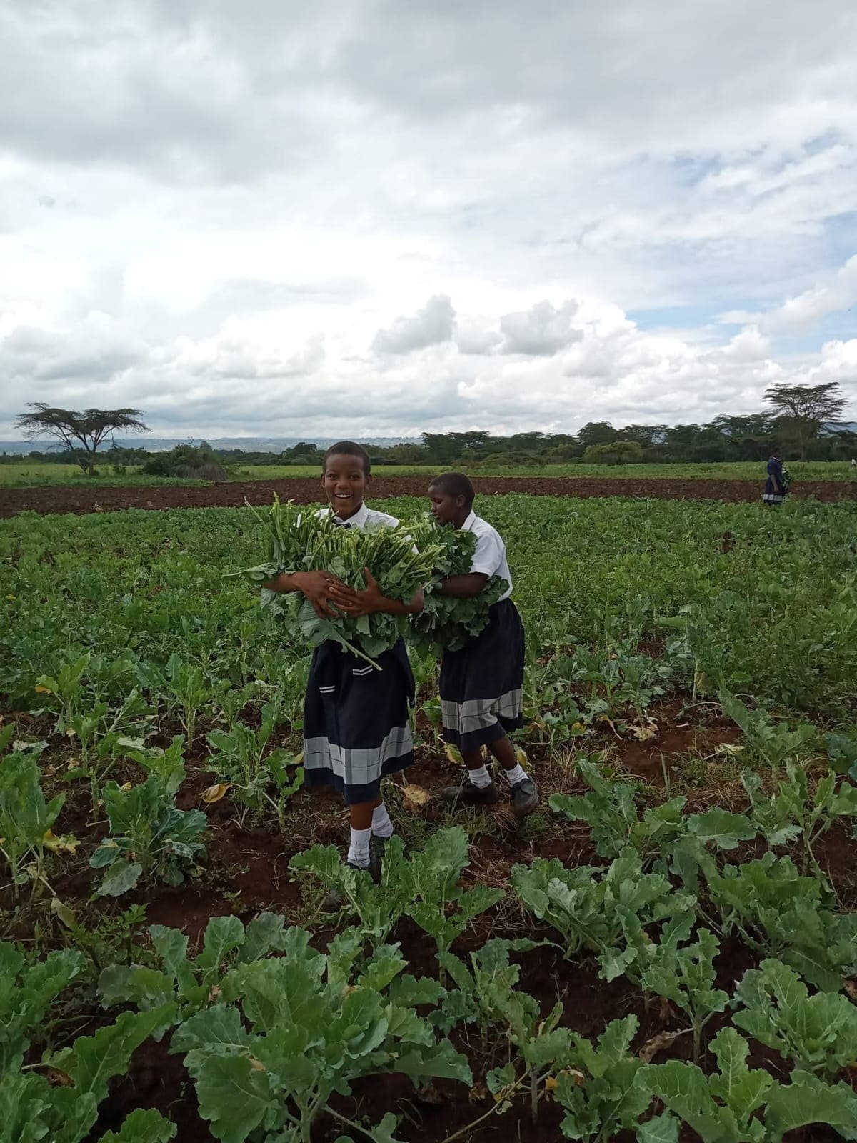 Sports and athletics