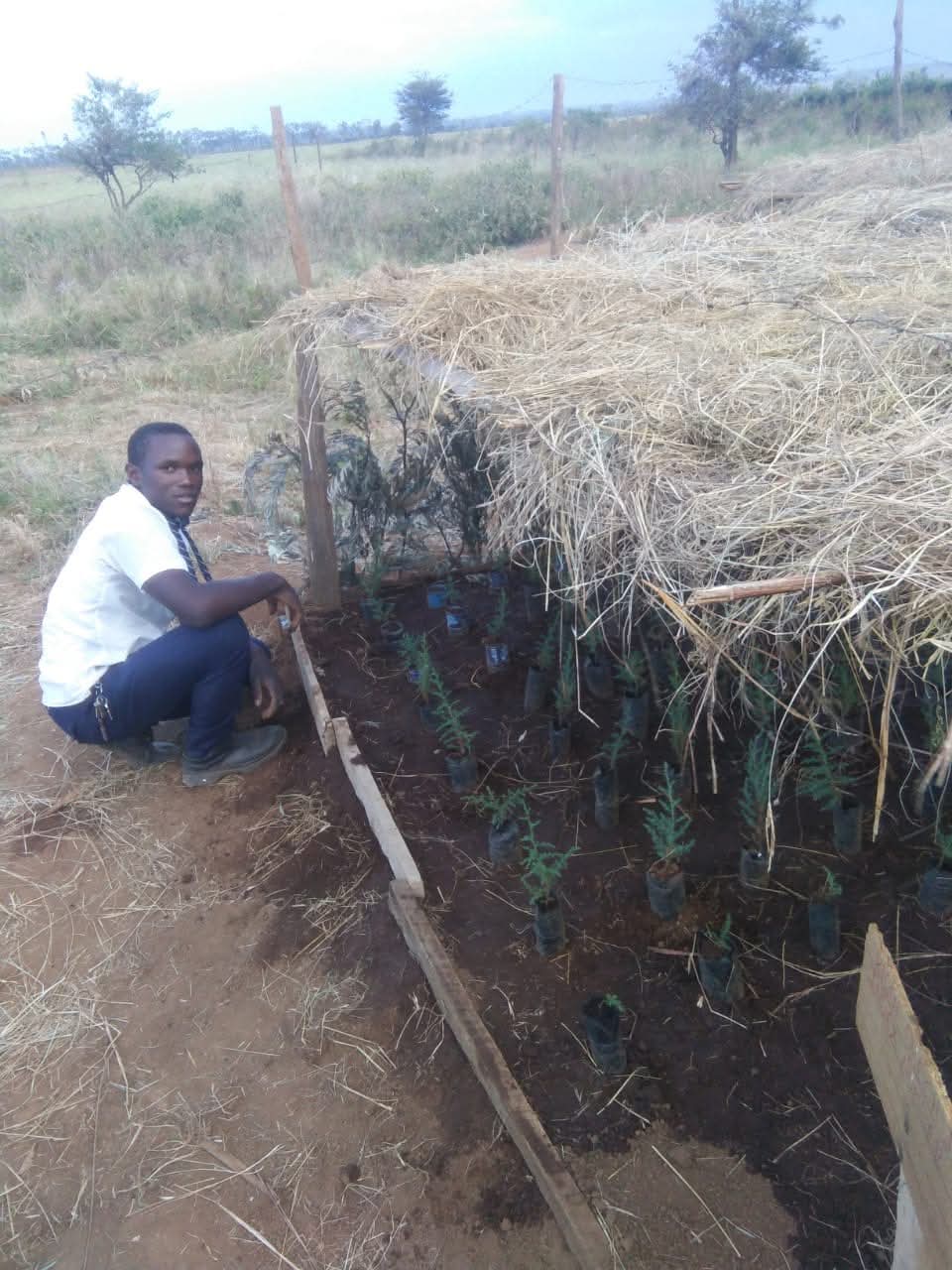 Student engagement activities