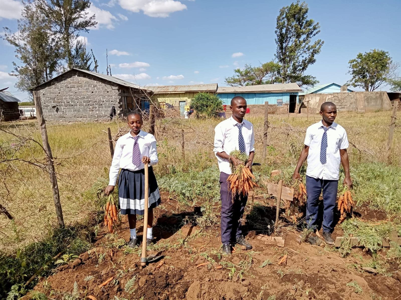 Clubs and cultural events