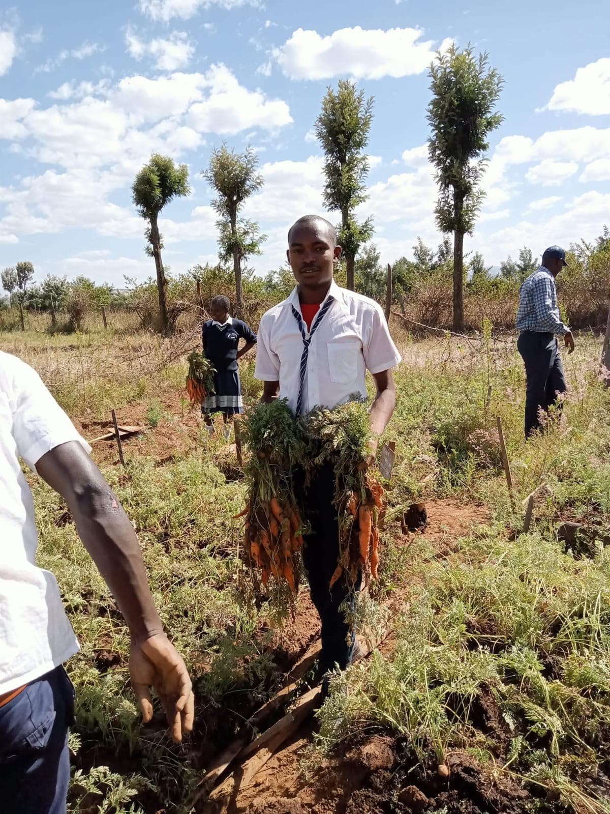 Leadership and teamwork activities