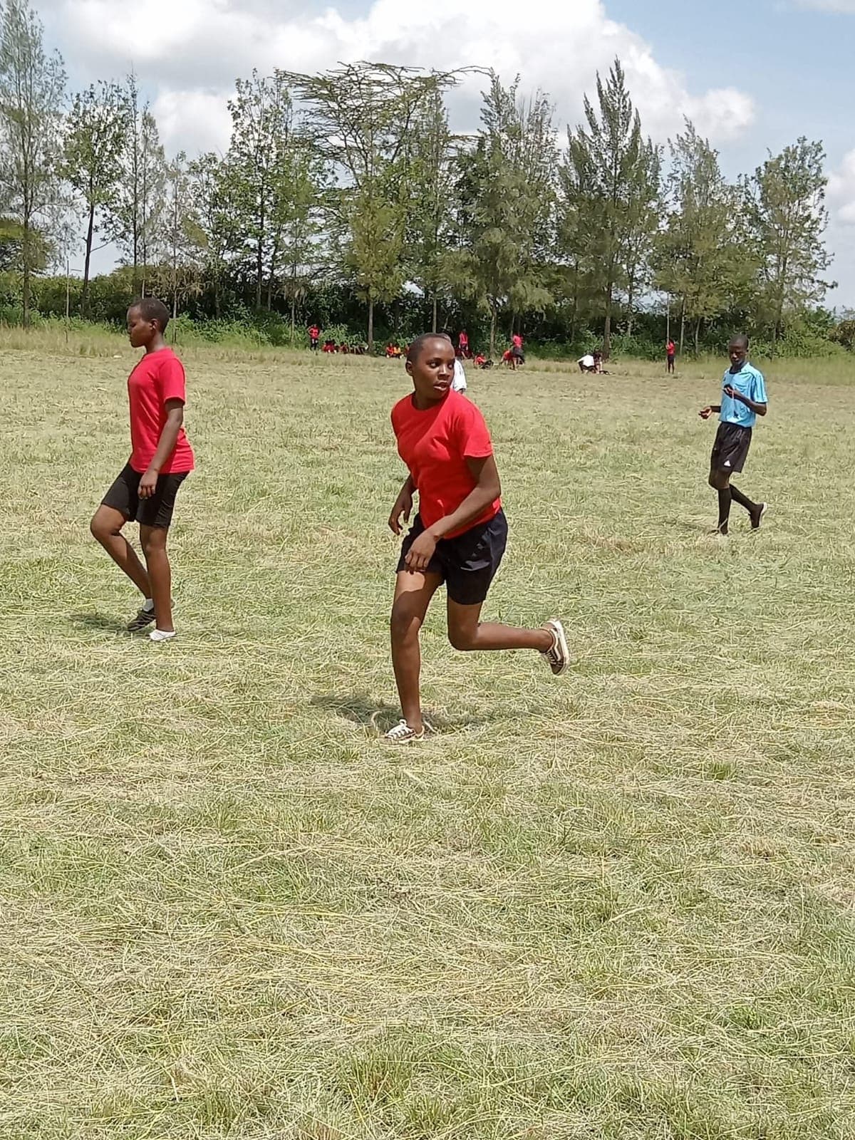 School activities highlight